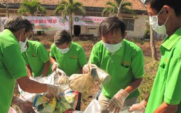 Nhặt bao bì thuốc bảo vệ thực vật trên ruộng