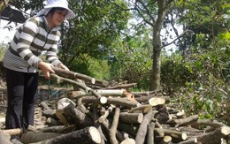92,5% người dân chưa hài lòng khi bị thu hồi đất