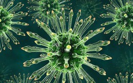 "Siêu kháng thể" mới chống HIV