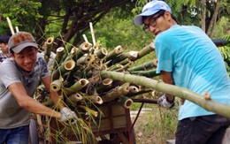Ngày cuối tuần "Một thoáng VN"