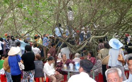 Khám phá Giàn Gừa