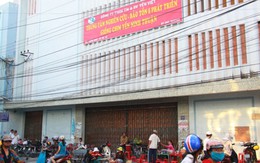 Chưa công bố dịch cúm H5N1 trên chim yến