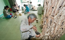 Độc đáo làng "xoi" trầm Vạn Thắng