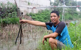 Đau đầu, tức ngực với khói nhà máy