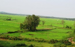 Bình yên Cao Ngạn