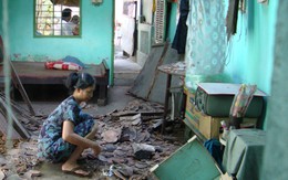 Một đời nặng chữ tình