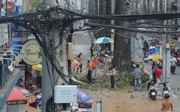 Lốc thổi rơi giàn giáo tầng cao, rụng sát trường học