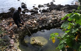 "Săn" nước ngọt trên đảo Nam Du