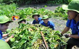 Không nên có "chuẩn" chung