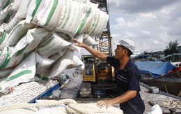 "Nóng" chuyện giải phóng hàng hóa cho ĐBSCL