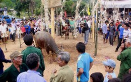 Huyền thoại về "ngải độc"