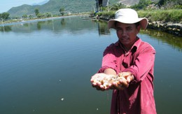 Nhà nông lo thiếu điện