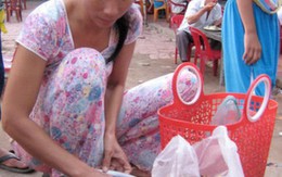 Mùa ve sữa Hòn Tre