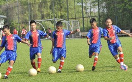 Bóng vẫn lăn trong ngày đầu năm