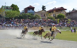 Nông dân đua ngựa thồ ở Bắc Hà