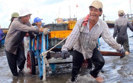 Nụ cười từ biển