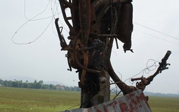 Nhức nhối chuyện "mạng chó đổi mạng người"