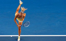 Sharapova thắng dễ Venus Williams, Djokovic thẳng tiến