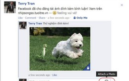 Facebook cho đính kèm ảnh khi bình luận