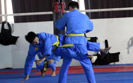 Duy Khánh và tình yêu vovinam