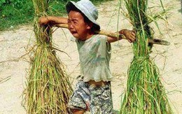 Trẻ "lơ mơ" về giá trị sống