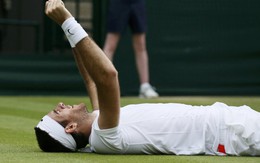 Del Potro gặp Novak Djokovic ở bán kết