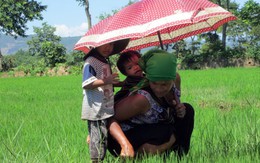 Theo mẹ ra đồng