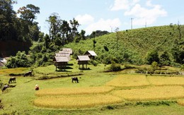 Bình yên nơi cổng trời