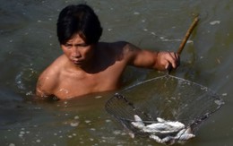 Dân bơm nước tưới ruộng phải xin doanh nghiệp!