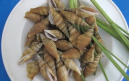 Ra Phú Quốc ăn ốc nhảy
