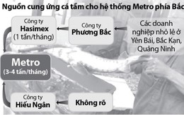 Chưa rõ nguồn gốc cá tầm ở Metro