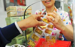 Phát tán tin đồn ông Trần Bắc Hà bị bắt, chỉ bị phạt hành chính