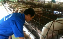 Doanh nghiệp tố cảnh sát môi trường lạm quyền