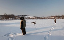 Thăm "làng chim ưng" ở Cát Lâm