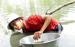 Vươn lên từ nghịch cảnh