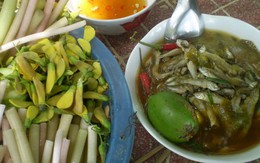 Cá linh kho bứa