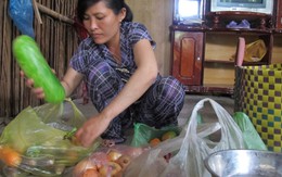 Tần tảo nuôi con ăn học