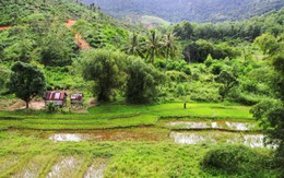 Sớm mai bình yên