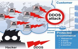 Hơn 430 website Việt Nam bị tấn công