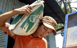 Bảy năm làm thuê nuôi giấc mơ đại học