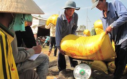 Nông dân sẽ thành cổ đông của doanh nghiệp