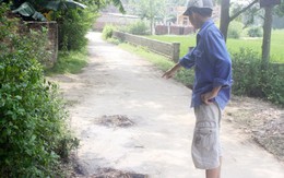 Hàng trăm người dân vây đánh chết 2 nghi phạm trộm chó