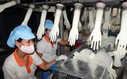 Vốn đang vào sản xuất