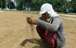 Chú trọng khen thưởng công nhân, nông dân