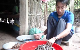 Đời sẽ đẹp nếu tự đi bằng chính chân mình