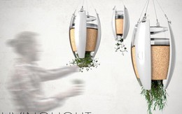 Sống động đèn thảo mộc