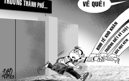 Rời trường ở phố về học trường quê