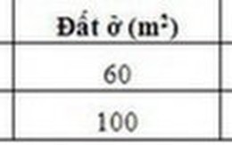 Tách thửa, cấp giấy chứng nhận cho các đồng sở hữu đất