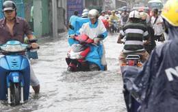 Thanh tra toàn diện 4 công ty lãnh đạo nhận "lương khủng"