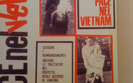 40 năm mối tình Việt - Ý